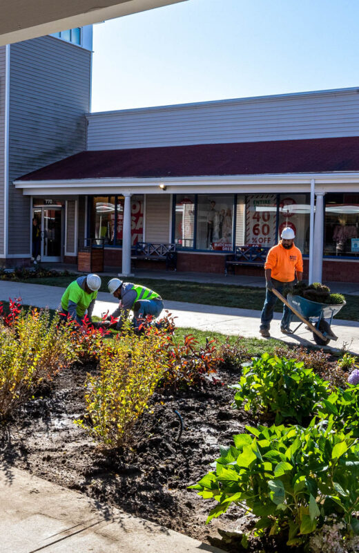 Workers planting plants at Wrentham shopping center.