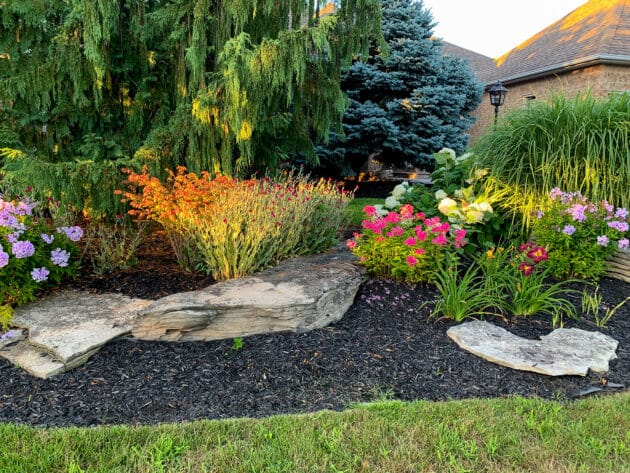 Landscaped flower bed with mulch, flowers and rocks.