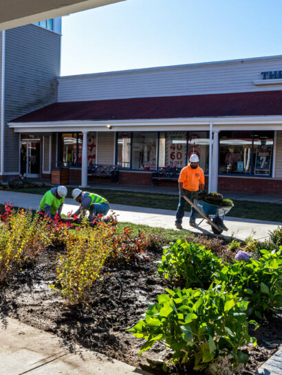 Commercial Site & Construction Project in Wrentham, MA. Workers planting plants.