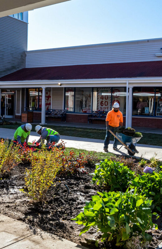 Commercial Site & Construction Project in Wrentham, MA. Workers planting plants.